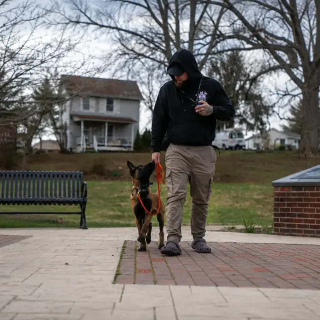 A trainer working a dog through obedience in a public park