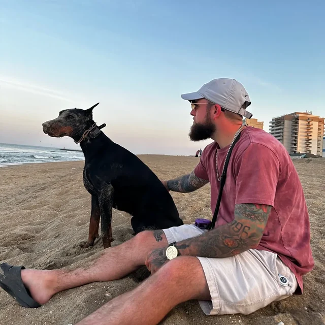 A Doberman holding a stay on the beach after training