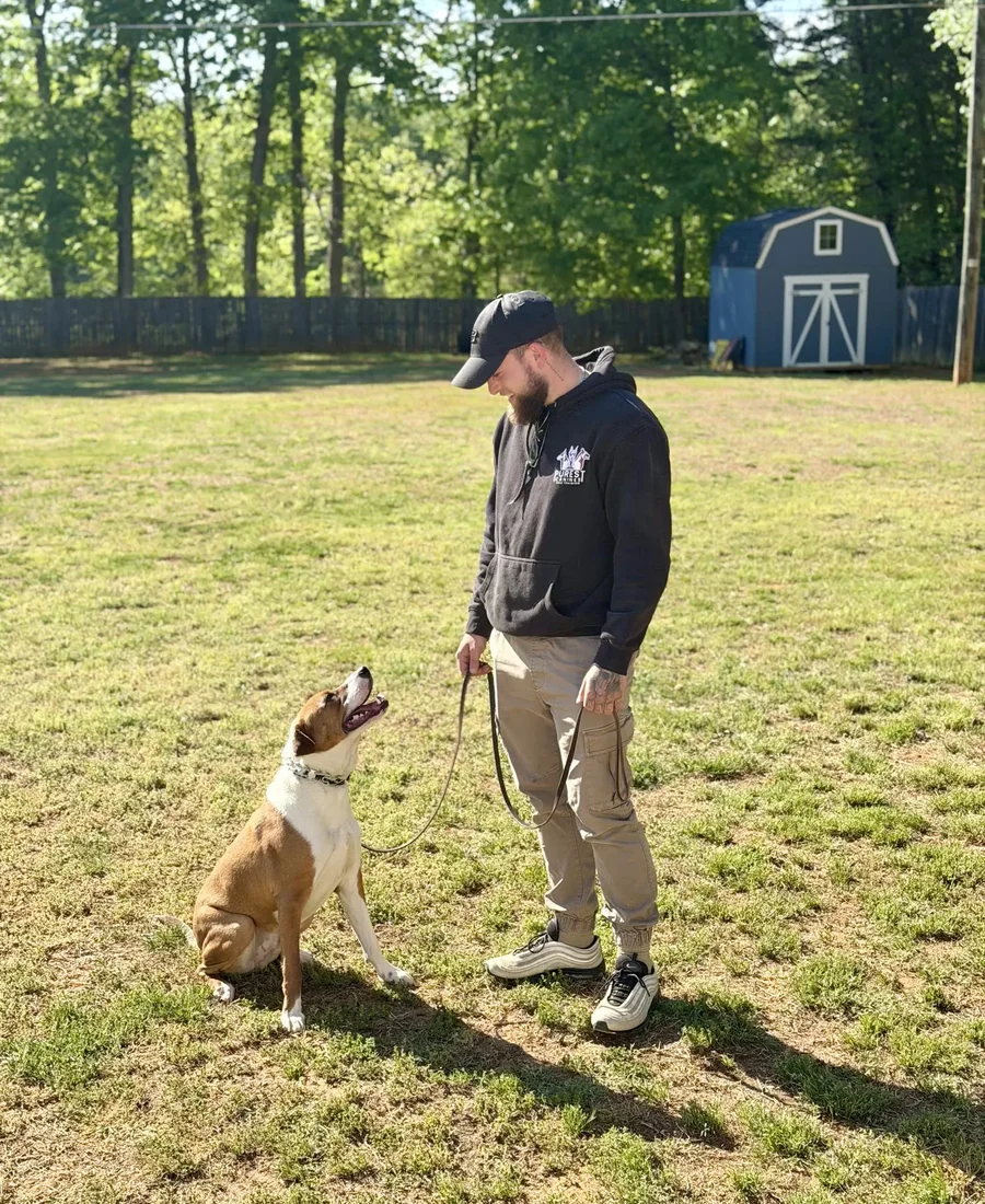 Dog trainer near me landing page