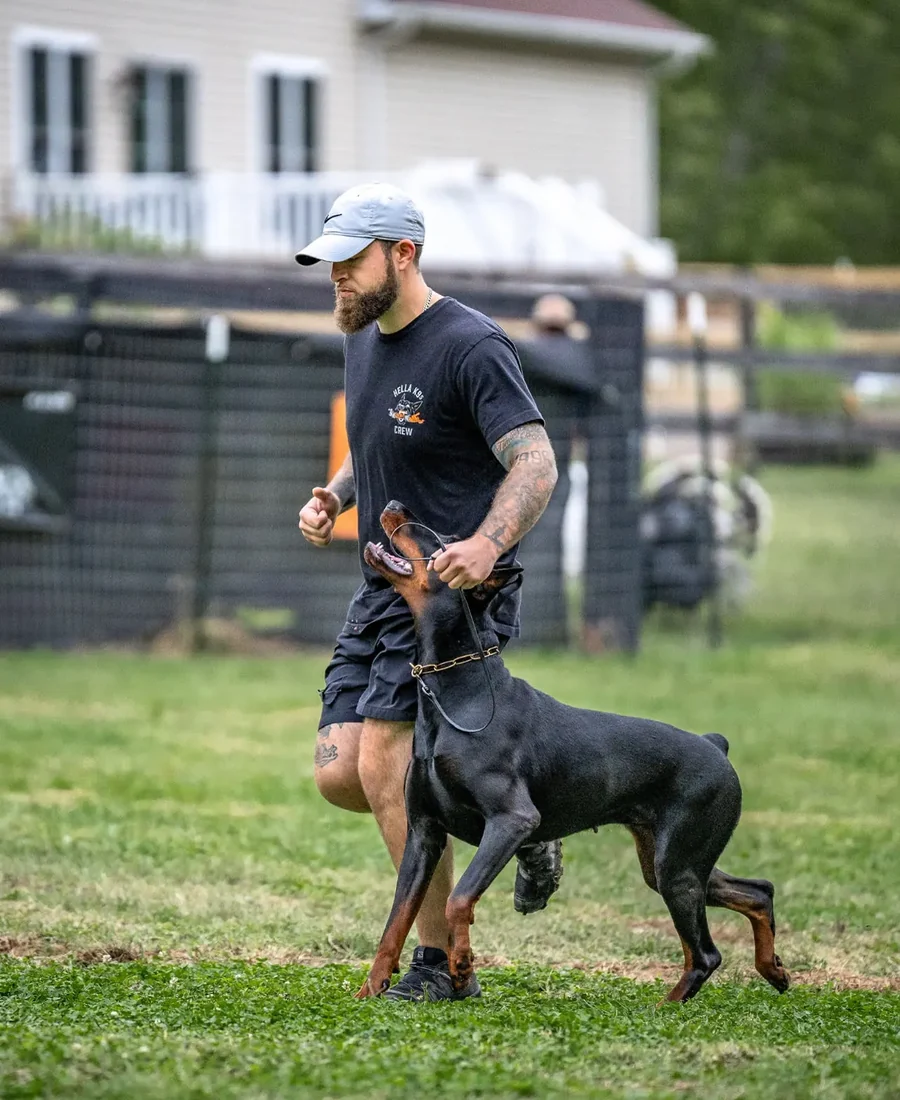 Obedience training landing page
