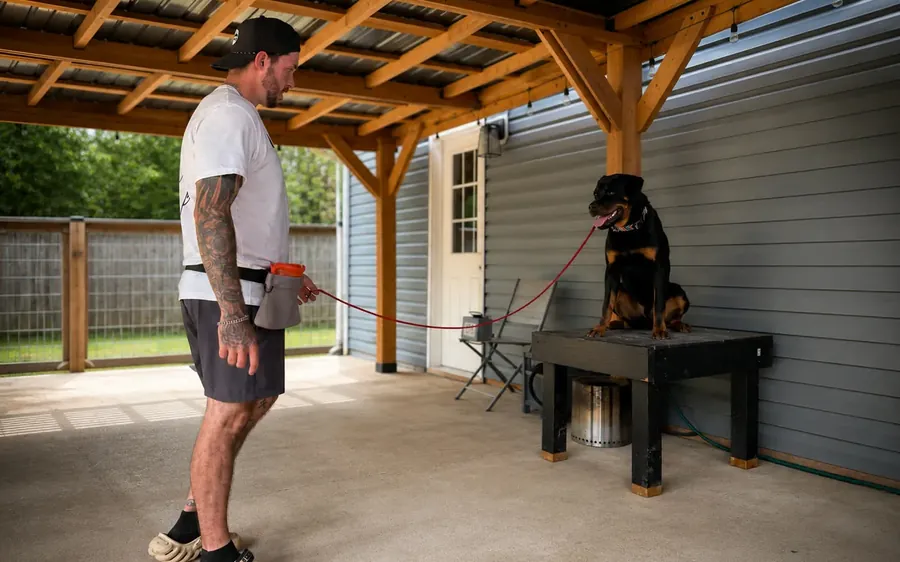 A trainer working with a dog at Purest Canines during board and train