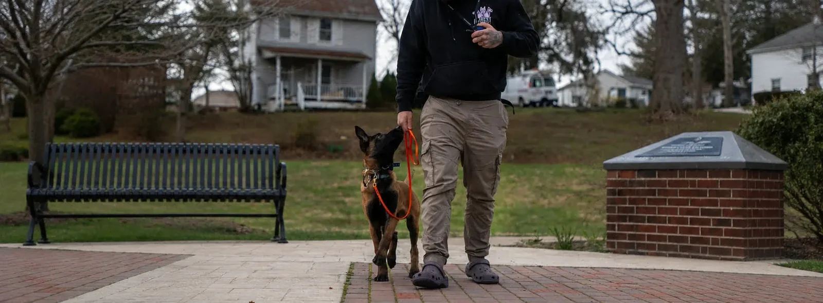 A Purest Canines trainer working a dog through obedience in a public park